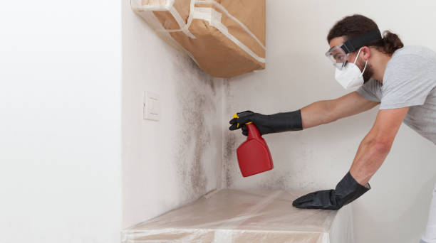 Professional Mold Remediation technician working in Lockport, NY